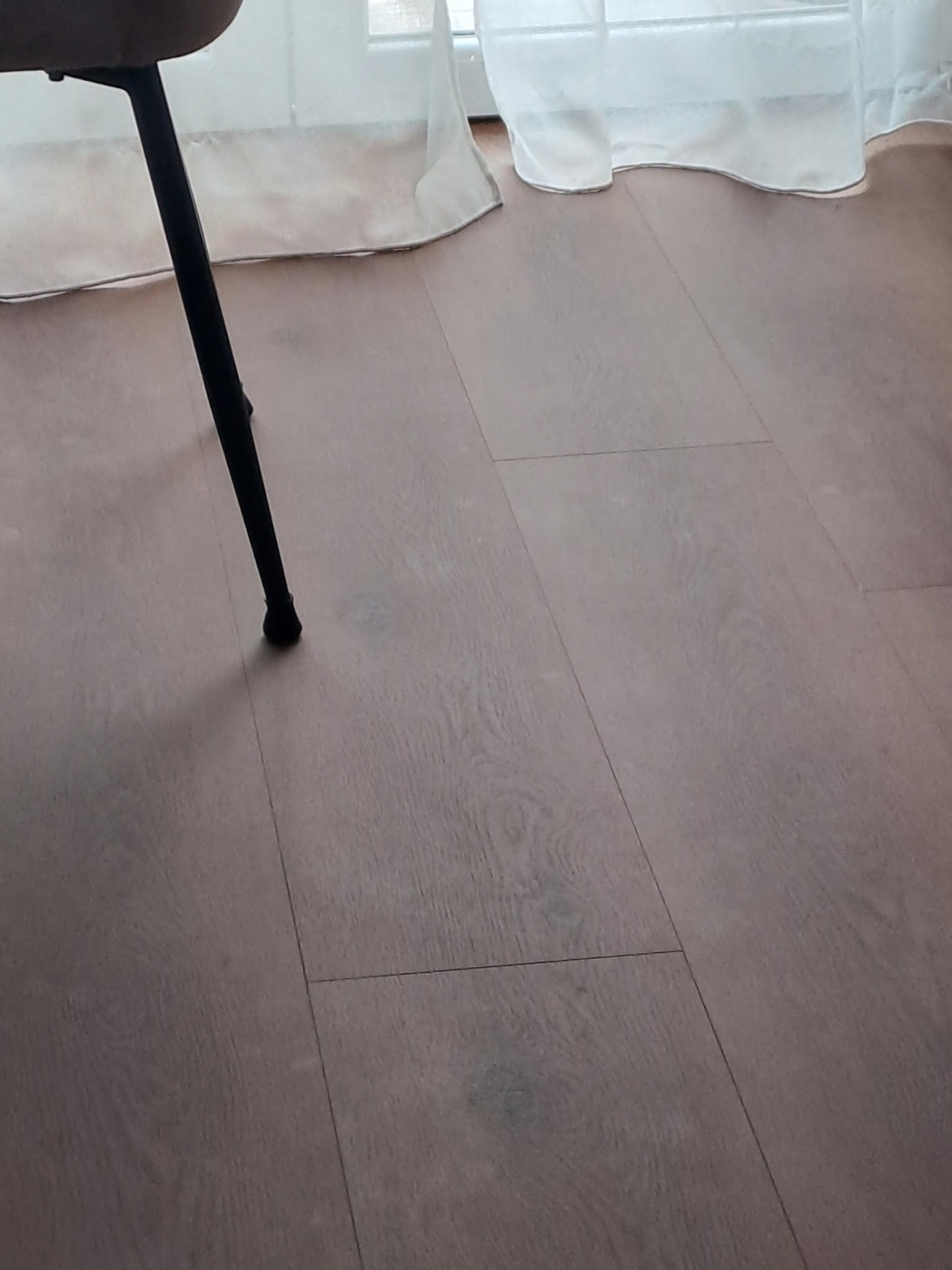 SPC Flow: Resiste anche alla bava del cane